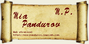 Mia Pandurov vizit kartica